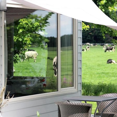 Panorama Box Op Camping De Stal Drijber 外观 照片