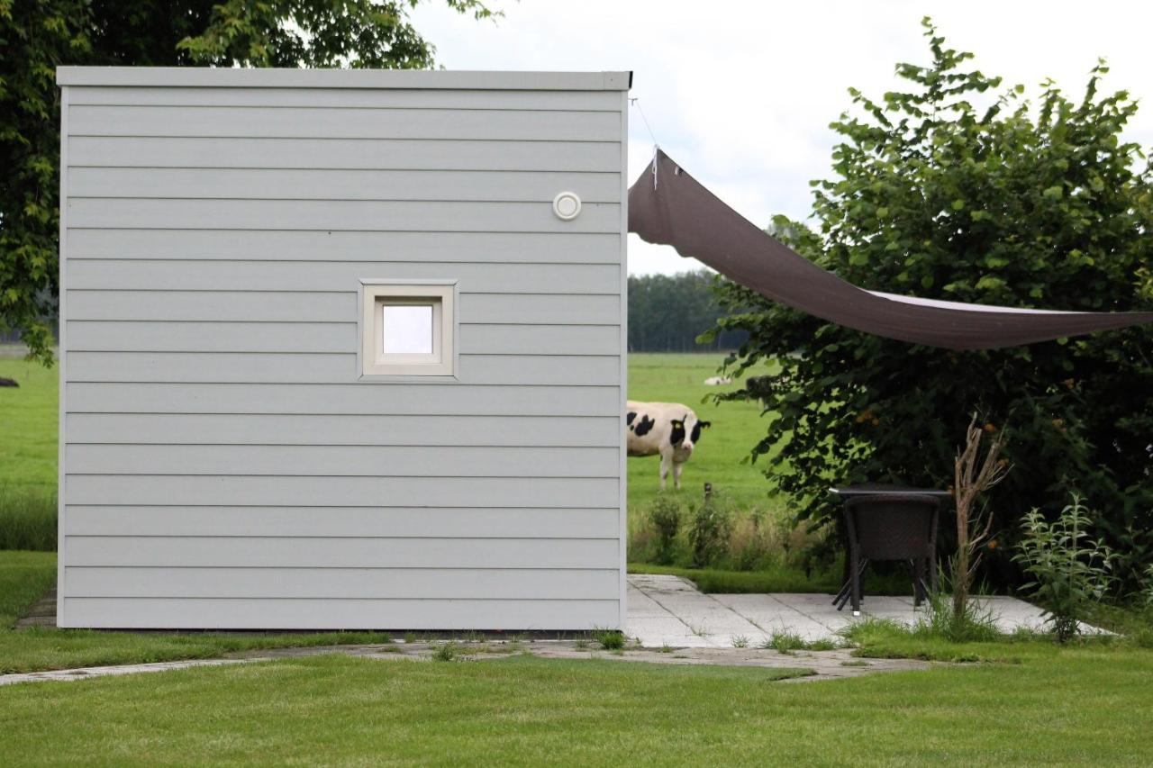 Panorama Box Op Camping De Stal Drijber 外观 照片