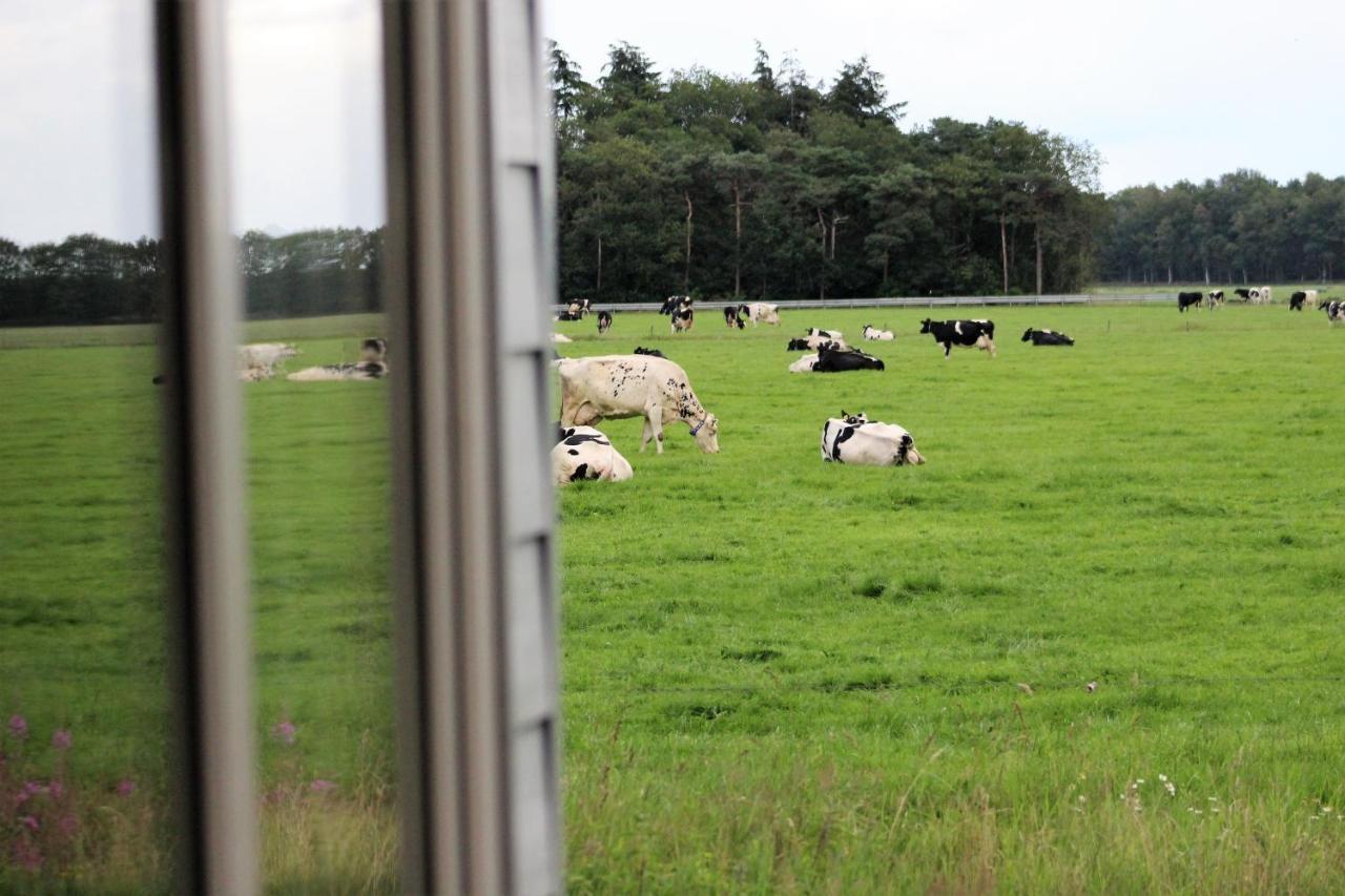 Panorama Box Op Camping De Stal Drijber 外观 照片